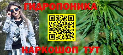 стаф Кунгур