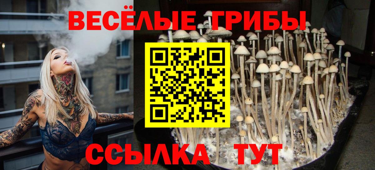 Галлюциногенные грибы прущие грибы  Псилоцибиновые грибы GOLDEN TEACHER  Вход с VPN  Электросталь 